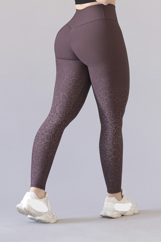 Legging Deportivo Lycra Colombiana Gala Sport Push Up Feel